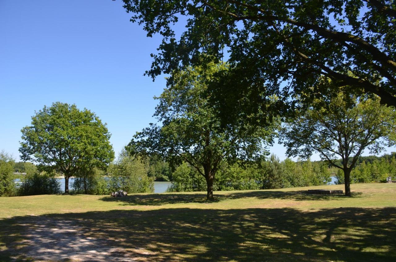 Drents Genieten - Lavendelheide Met Uitzicht Op Het Water Erm Kültér fotó