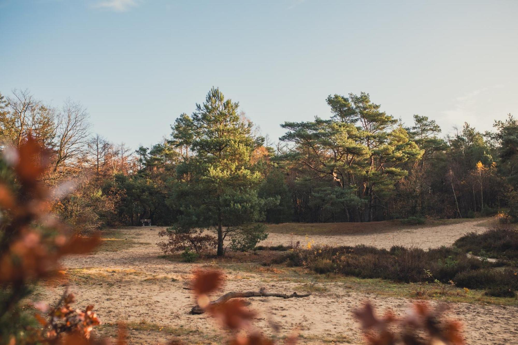 Drents Genieten - Lavendelheide Met Uitzicht Op Het Water Erm Kültér fotó